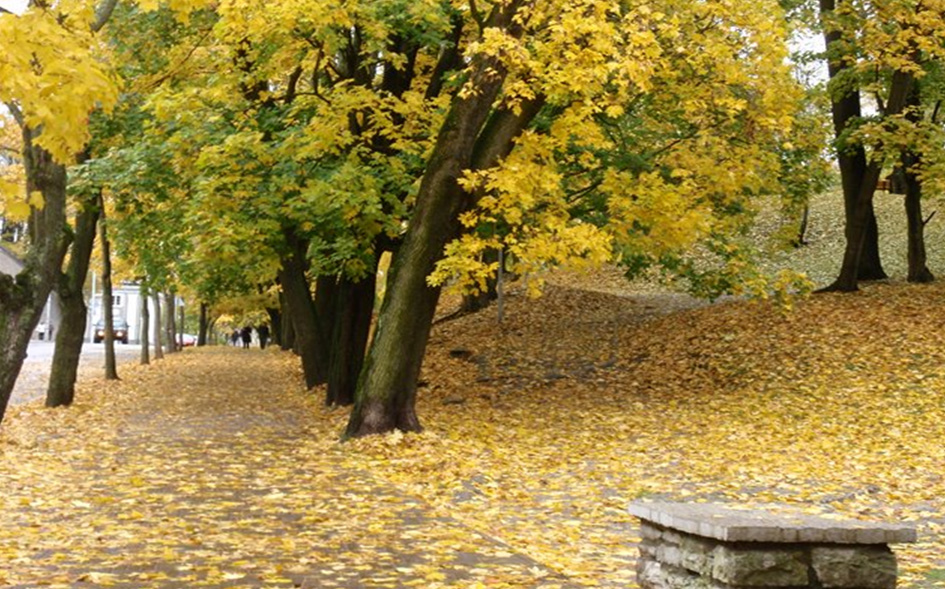 Осень в Кадриорге