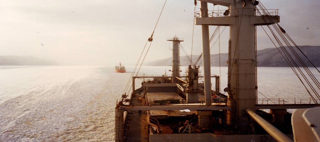 В водах пролива Святого - Лаврентия