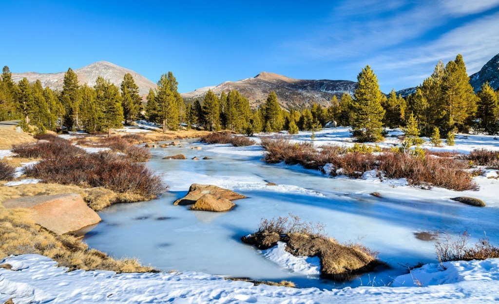 Весна пришла