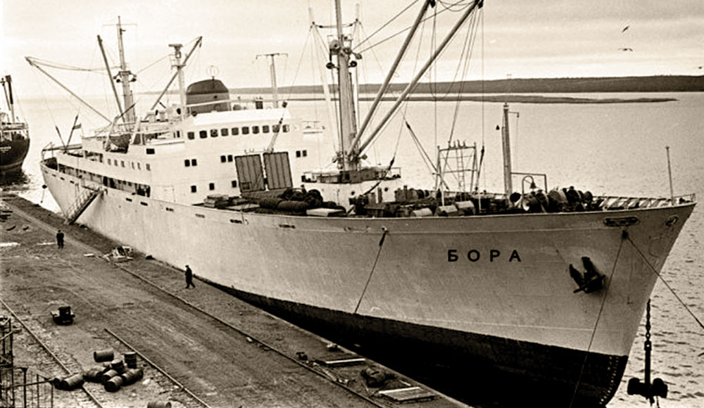 Транспортный рефрижератор «Бора»