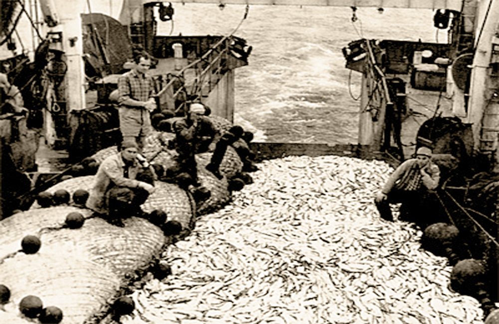 Богатый улов